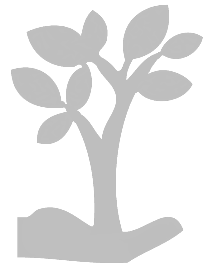 La sicurezza in azienda (DLG.S 81/08)